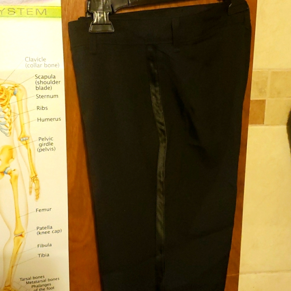 Size 12 Van Helsing dress pants